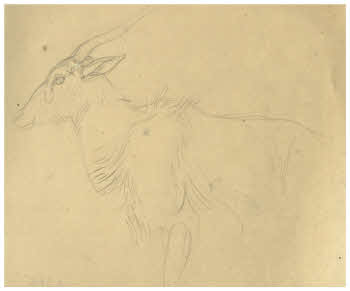 Visualizza l'immagine "FD D 386"